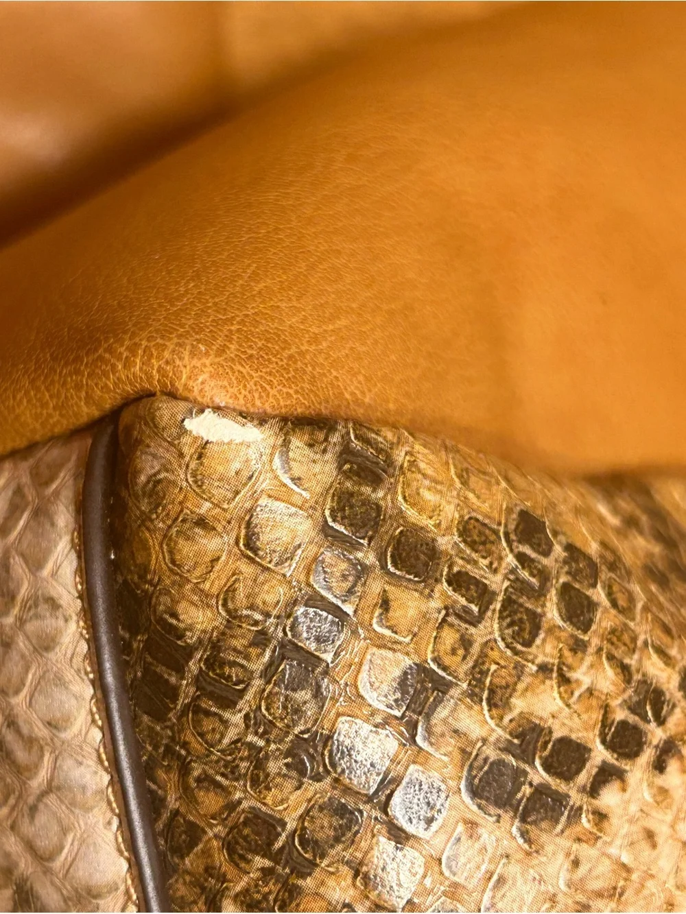 Snake-Print Shoulder Bag & Pouch in Brown by Abbacino